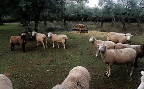 El Venero De Mostoles